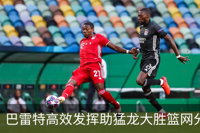 巴雷特高效发挥助猛龙大胜篮网分析